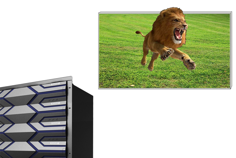 NLC电子(中国)集团