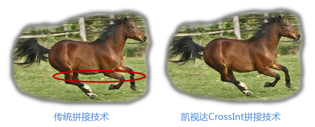 NLC电子(中国)集团