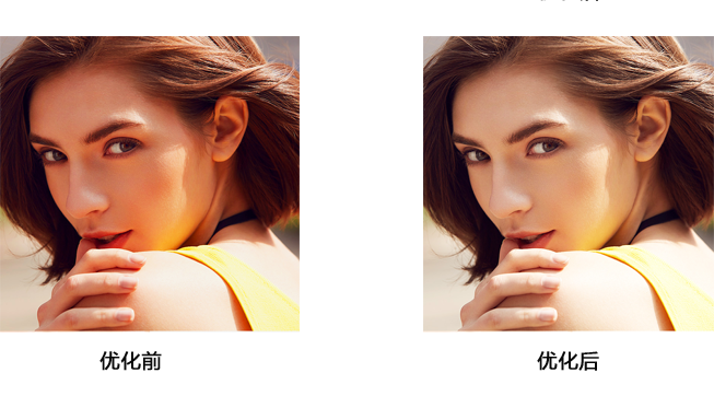 NLC电子(中国)集团