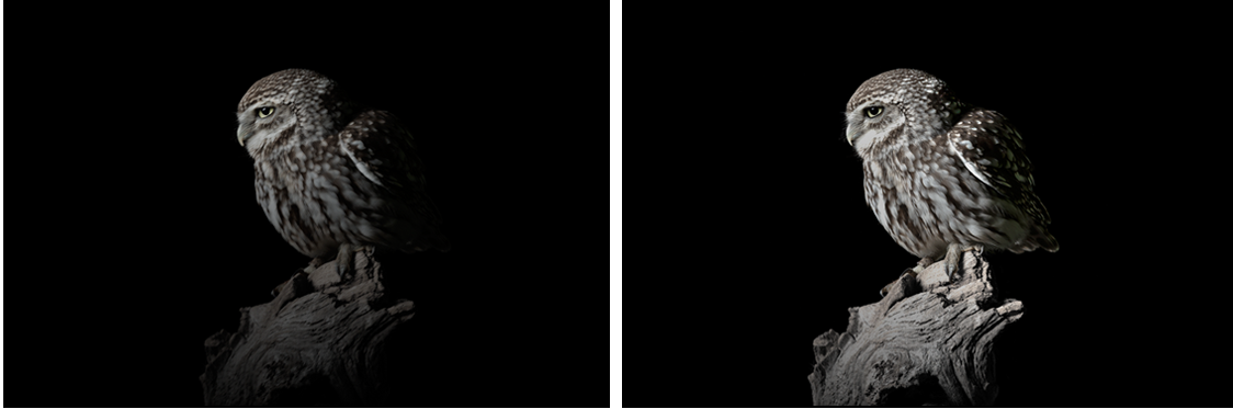 NLC电子(中国)集团