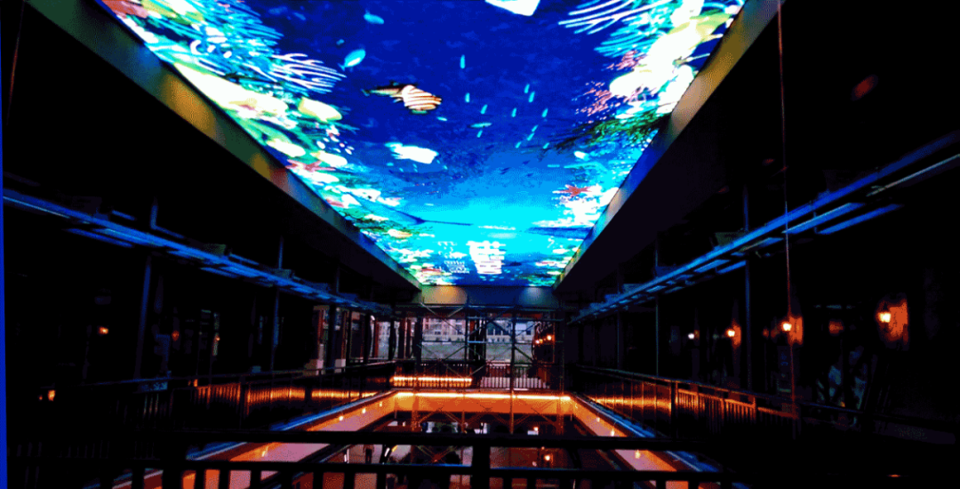 NLC电子(中国)集团