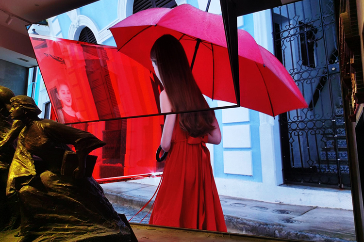 NLC电子(中国)集团