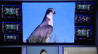 湖南衡阳自来水公司调度大厅 P1.25 幼间距 LED 显示屏节造系统项目