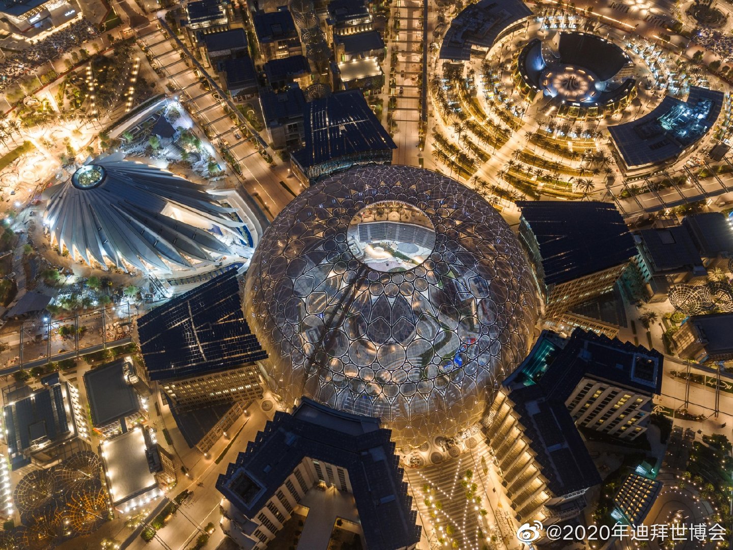 NLC电子(中国)集团