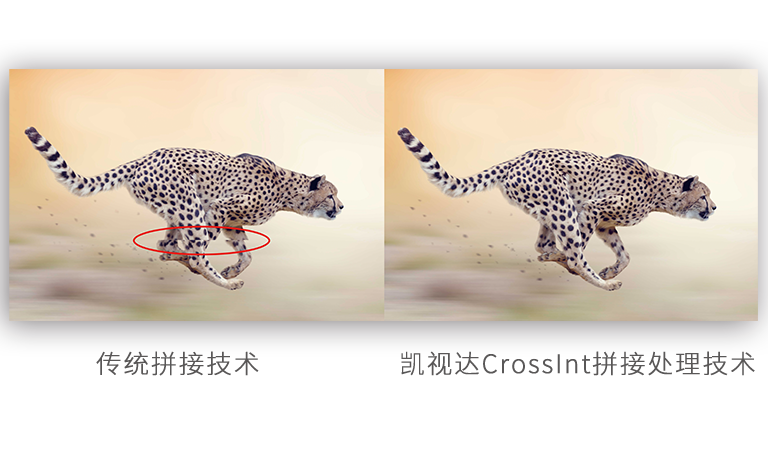NLC电子(中国)集团
