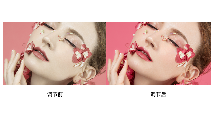 NLC电子(中国)集团