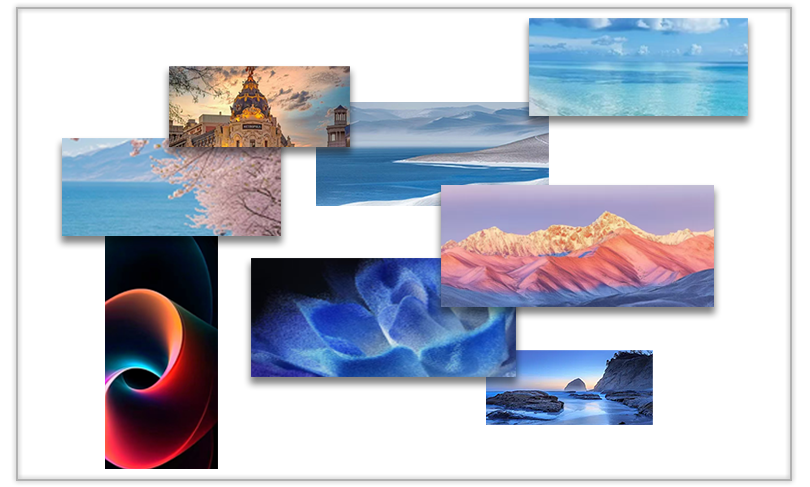 NLC电子(中国)集团