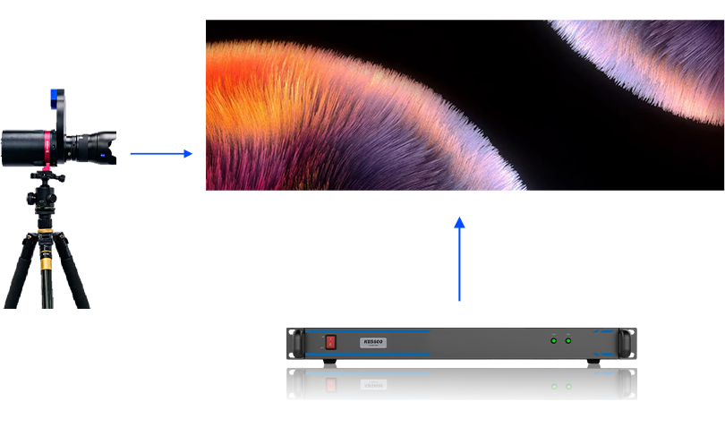 NLC电子(中国)集团