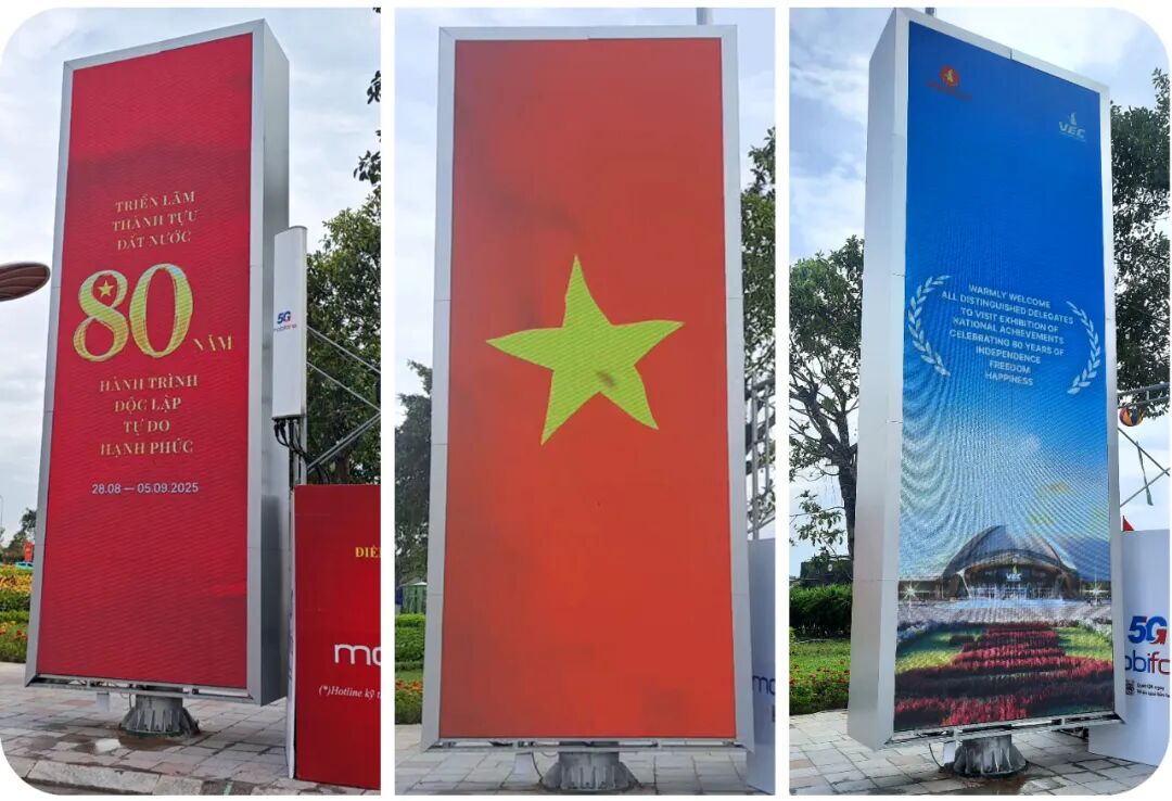 NLC电子(中国)集团