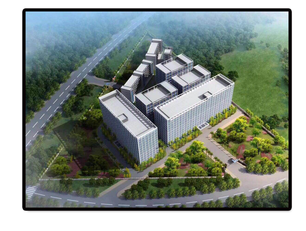 NLC电子(中国)集团